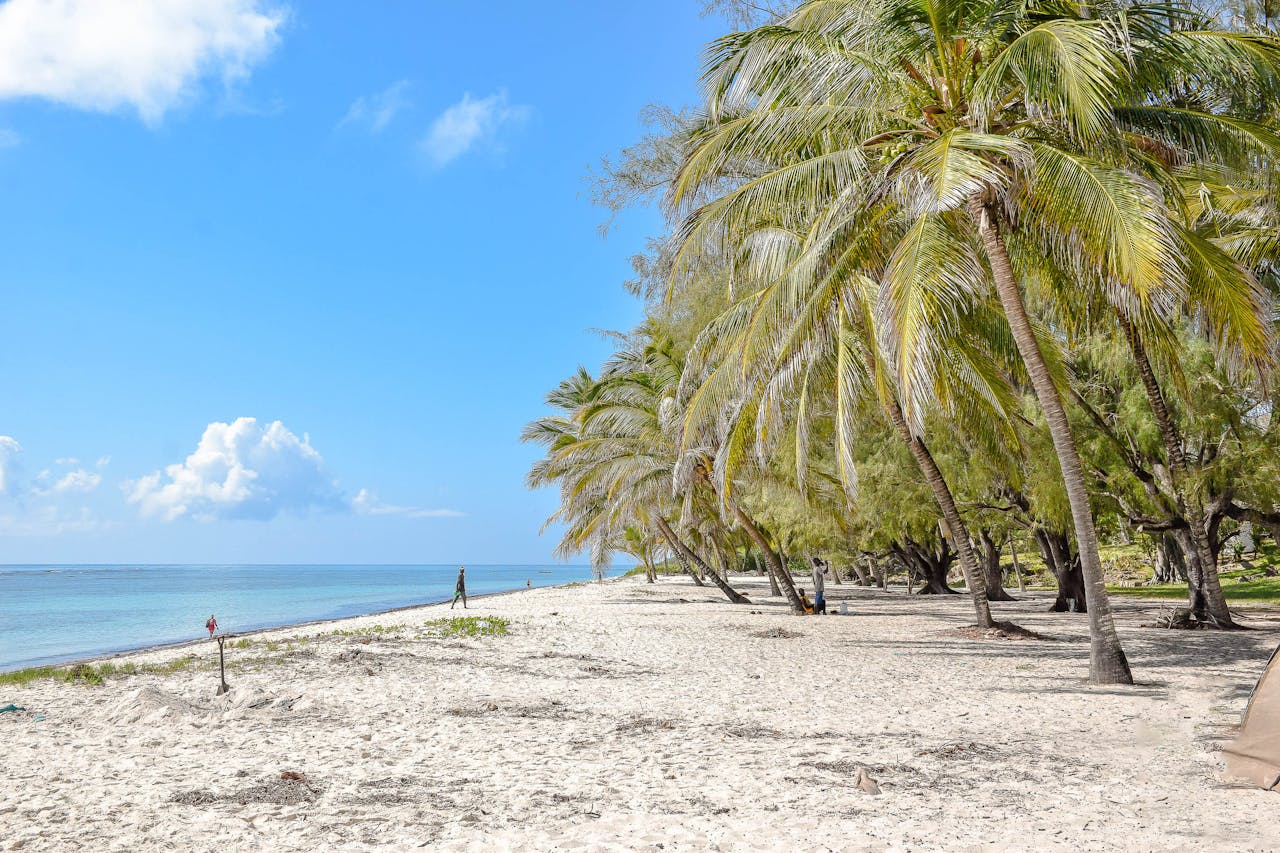 Indian Ocean